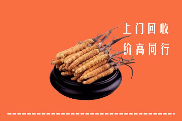 高价求购：辰溪县回收散虫草