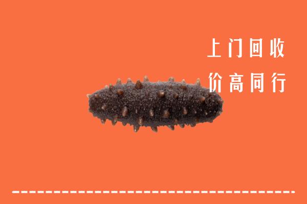 高价求购：辰溪县回收海参