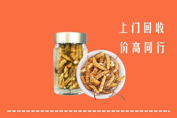 辰溪县回收冬虫夏草